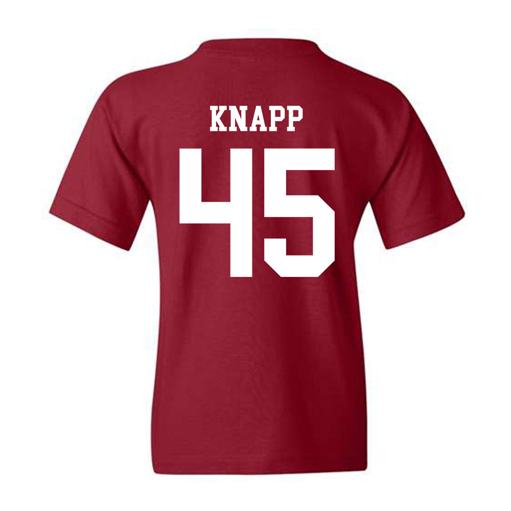Alabama - Football Alumni : David Knapp - Youth T-Shirt Hoodie, Sweatshirt | CoreVibeTees.com (Image 2)