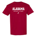Alabama - Baseball Alumni : Greg Paiml - T-Shirt Style001 Hoodie, Sweatshirt | CoreVibeTees.com (Image 1)