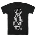 Cats Are So In Right Meow T-Shirt Hoodie, Sweatshirt | CoreVibeTees.com (Image 1)