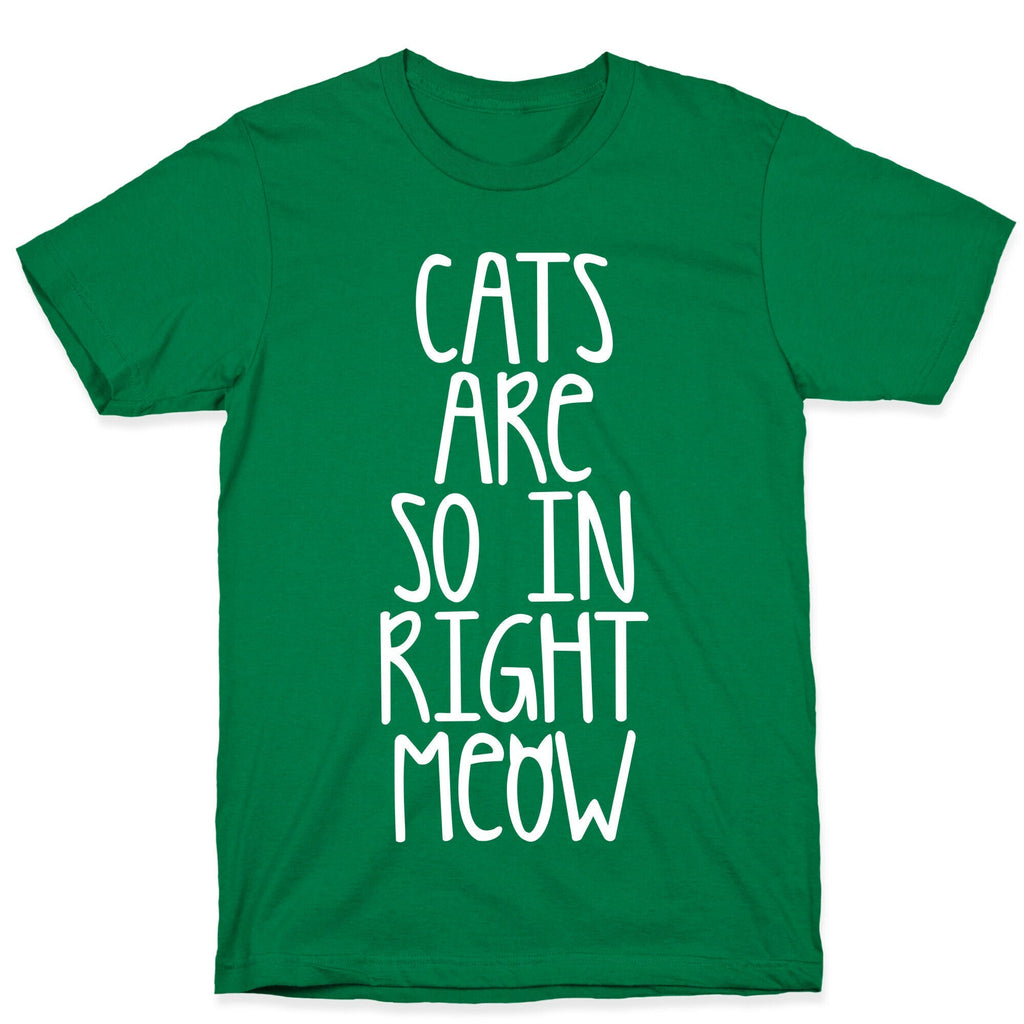 Cats Are So In Right Meow T-Shirt Hoodie, Sweatshirt | CoreVibeTees.com (Image 3)