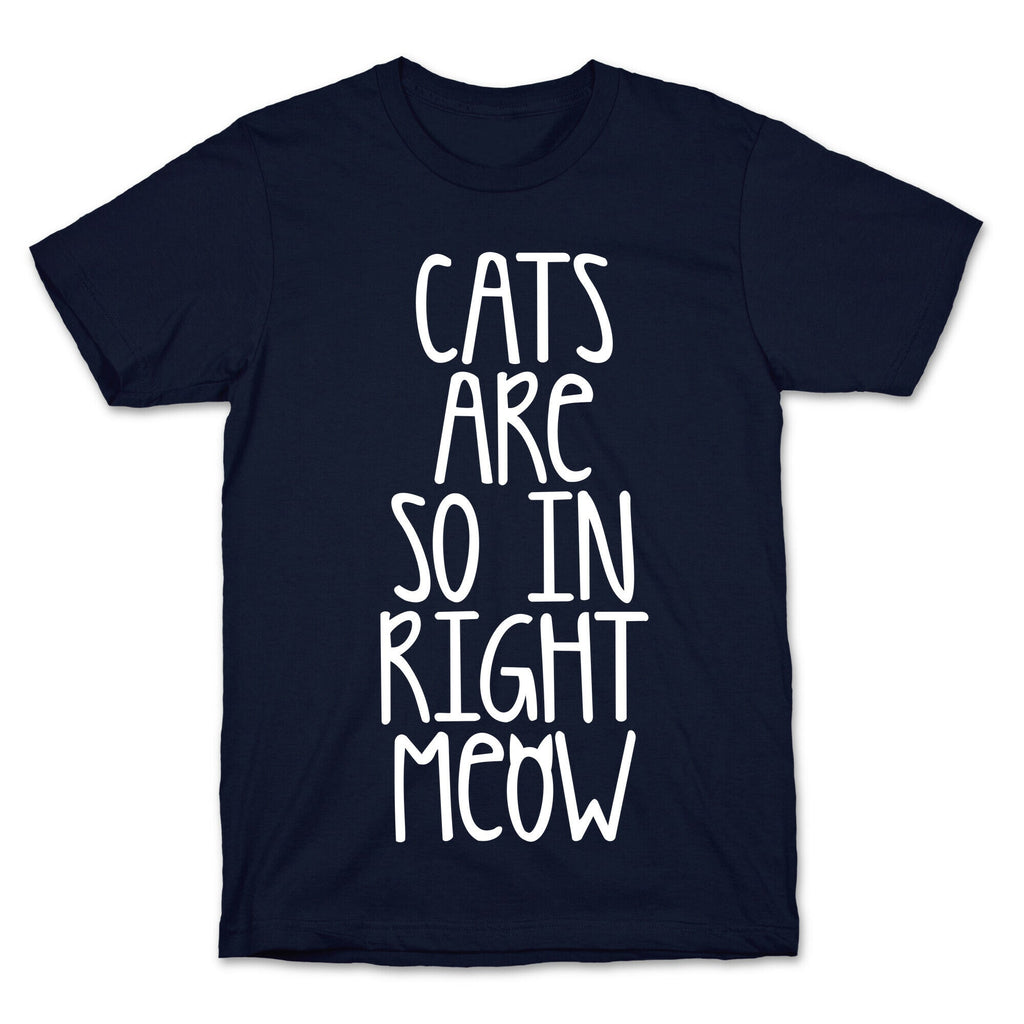 Cats Are So In Right Meow T-Shirt Hoodie, Sweatshirt | CoreVibeTees.com (Image 4)