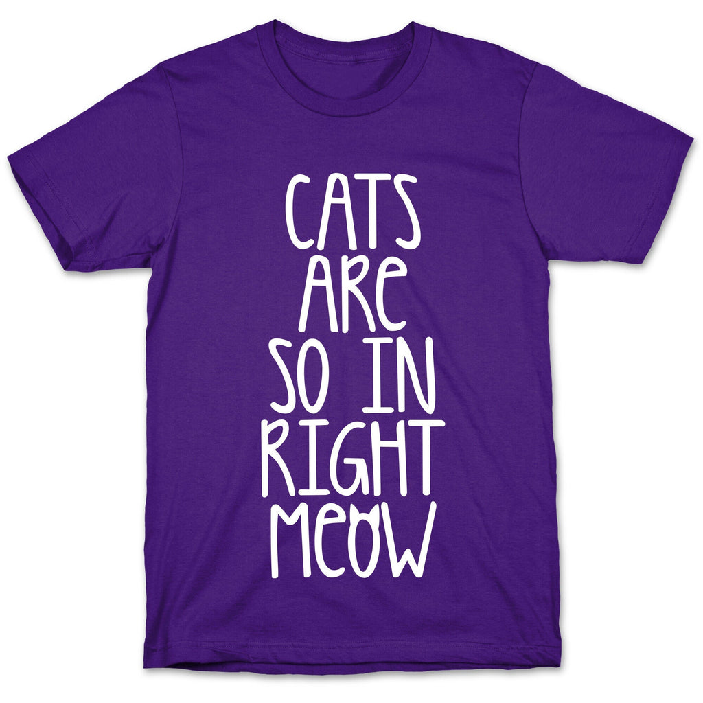 Cats Are So In Right Meow T-Shirt Hoodie, Sweatshirt | CoreVibeTees.com (Image 5)