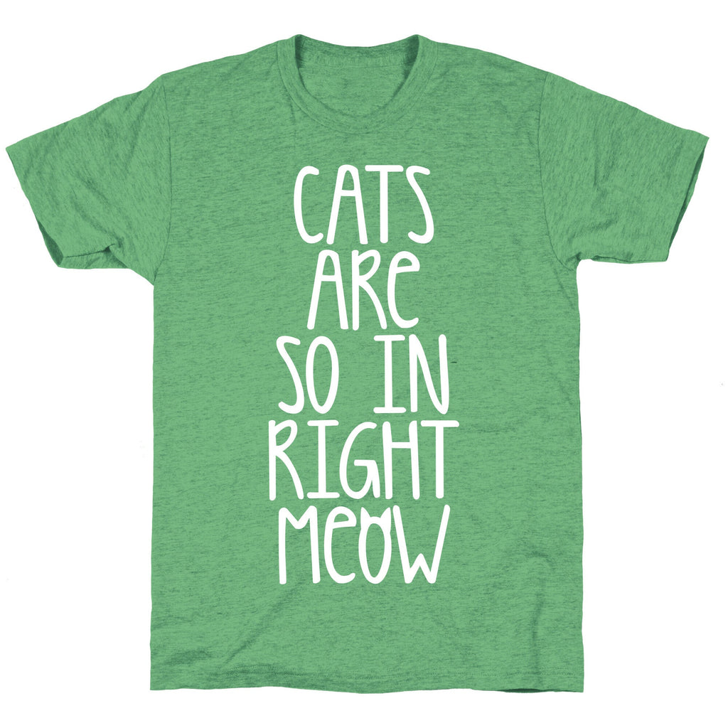 Cats Are So In Right Meow Unisex Triblend Tee Hoodie, Sweatshirt | CoreVibeTees.com (Image 2)