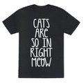 Cats Are So In Right Meow Unisex Triblend Tee Hoodie, Sweatshirt | CoreVibeTees.com (Image 1)