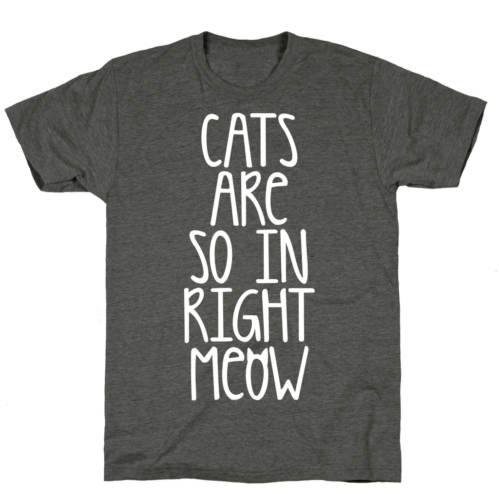 Cats Are So In Right Meow Unisex Triblend Tee Hoodie, Sweatshirt | CoreVibeTees.com (Image 3)