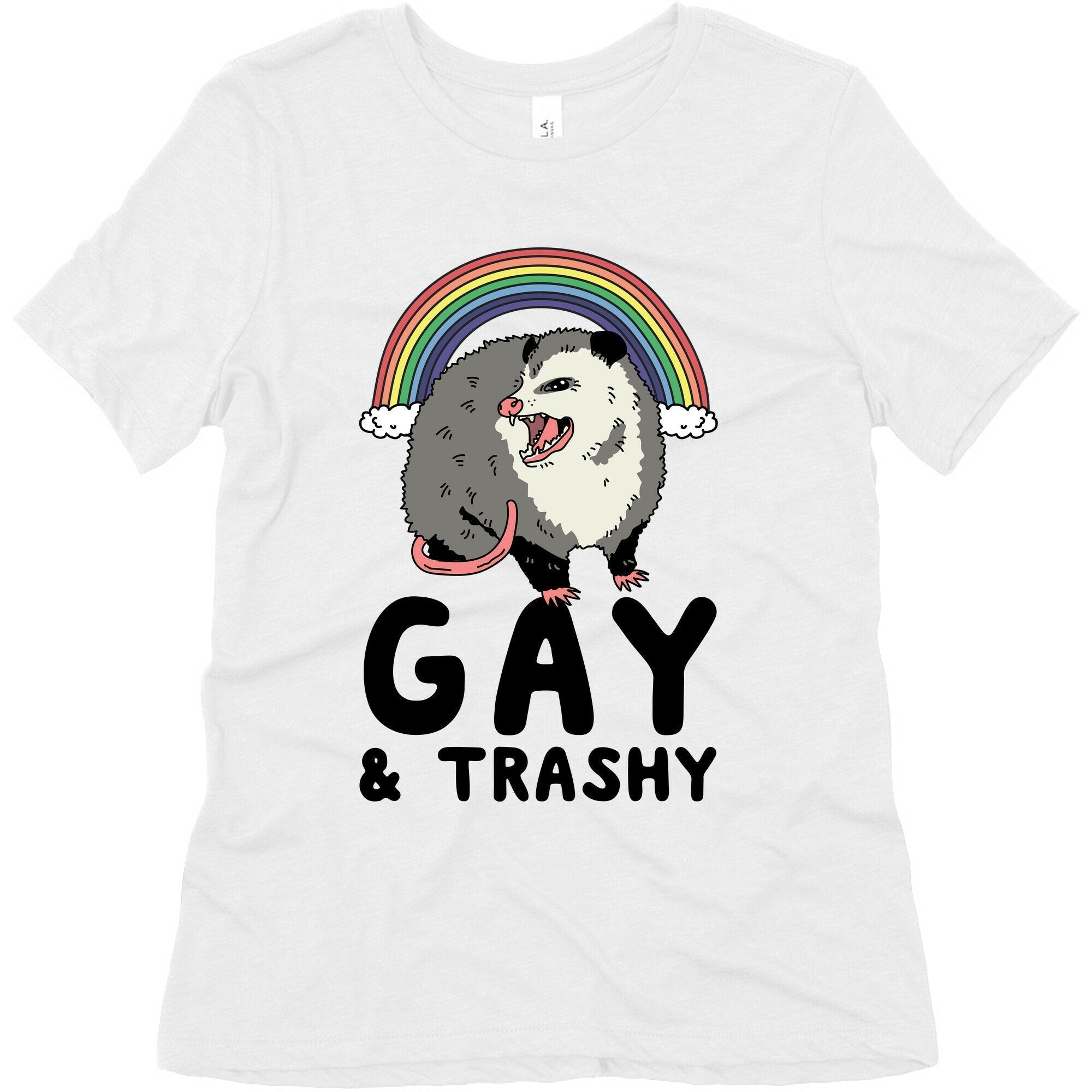Gay and Trashy Possum Women's Triblend Tee Hoodie, Sweatshirt | CoreVibeTees.com (Image 2)