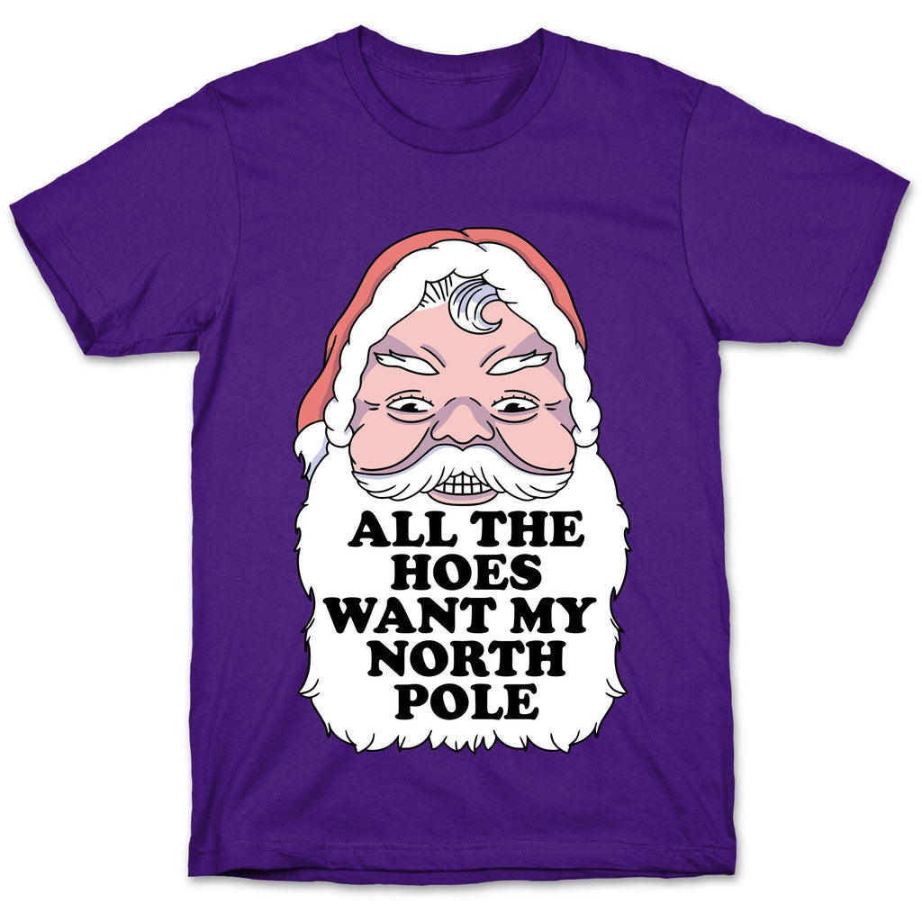 All The Hoes Want My North Pole T-Shirt Hoodie, Sweatshirt | CoreVibeTees.com (Image 5)