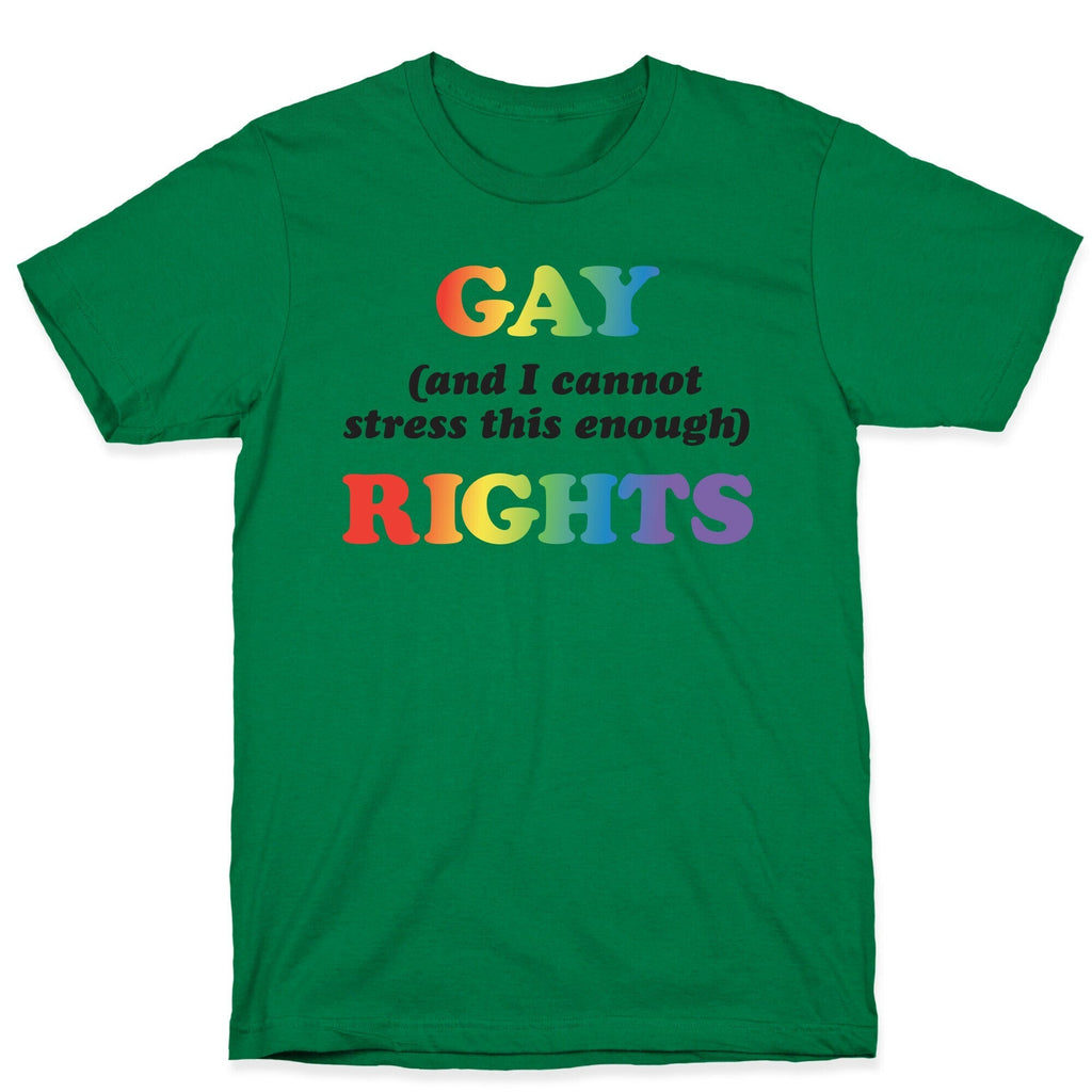 Gay (and I cannot stress this enough) Rights T-Shirt Hoodie, Sweatshirt | CoreVibeTees.com (Image 4)