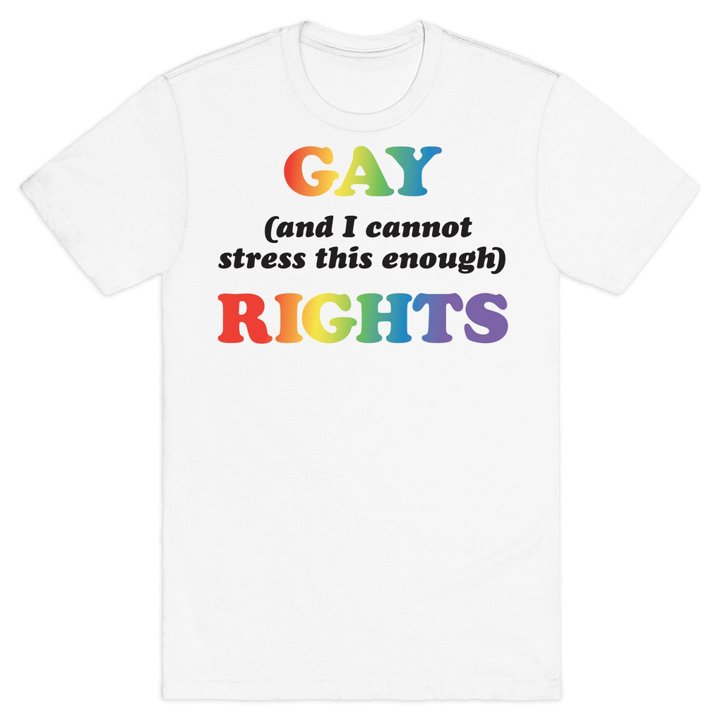 Gay (and I cannot stress this enough) Rights T-Shirt Hoodie, Sweatshirt | CoreVibeTees.com (Image 2)