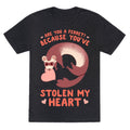 Are You A Ferret? Because You've Stolen My Heart Unisex Triblend Tee Style001 Hoodie, Sweatshirt | CoreVibeTees.com (Image 1)
