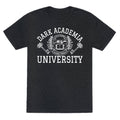 Dark Academia University Unisex Triblend Tee Hoodie, Sweatshirt | CoreVibeTees.com (Image 1)