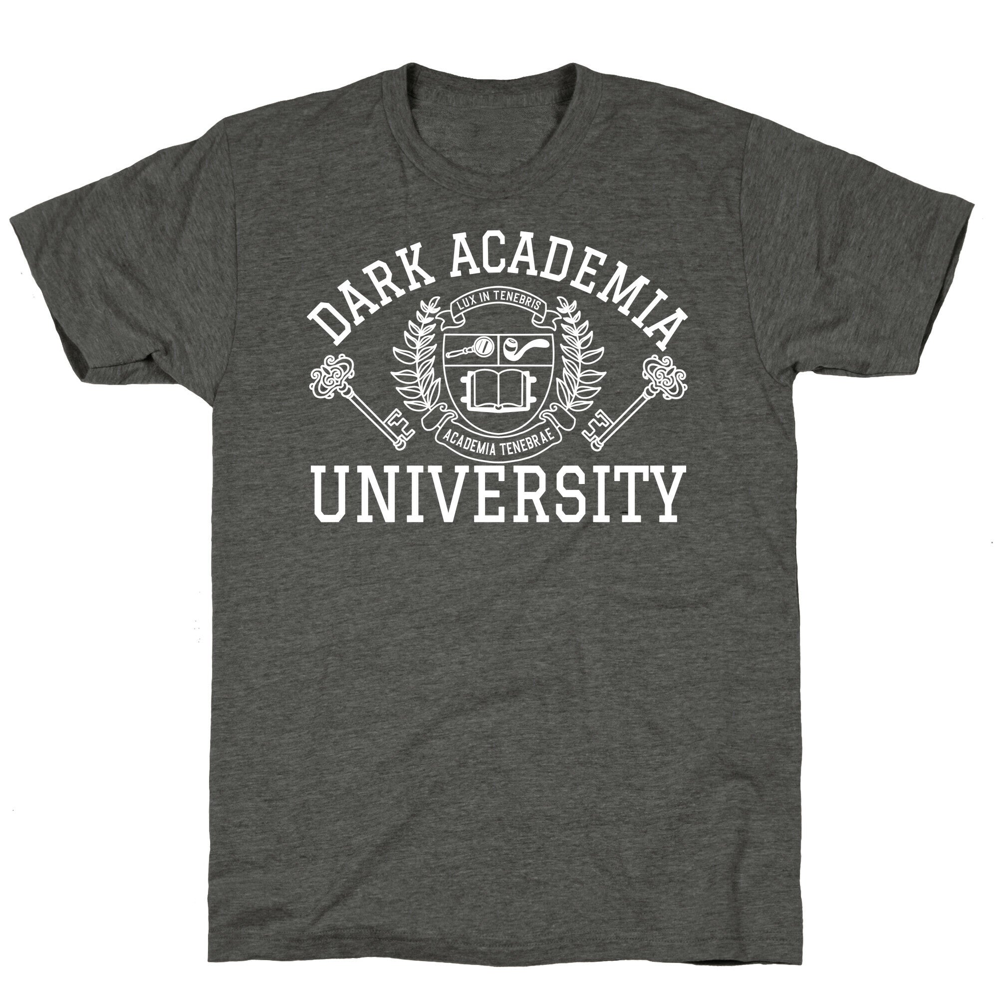 Dark Academia University Unisex Triblend Tee Hoodie, Sweatshirt | CoreVibeTees.com (Image 3)