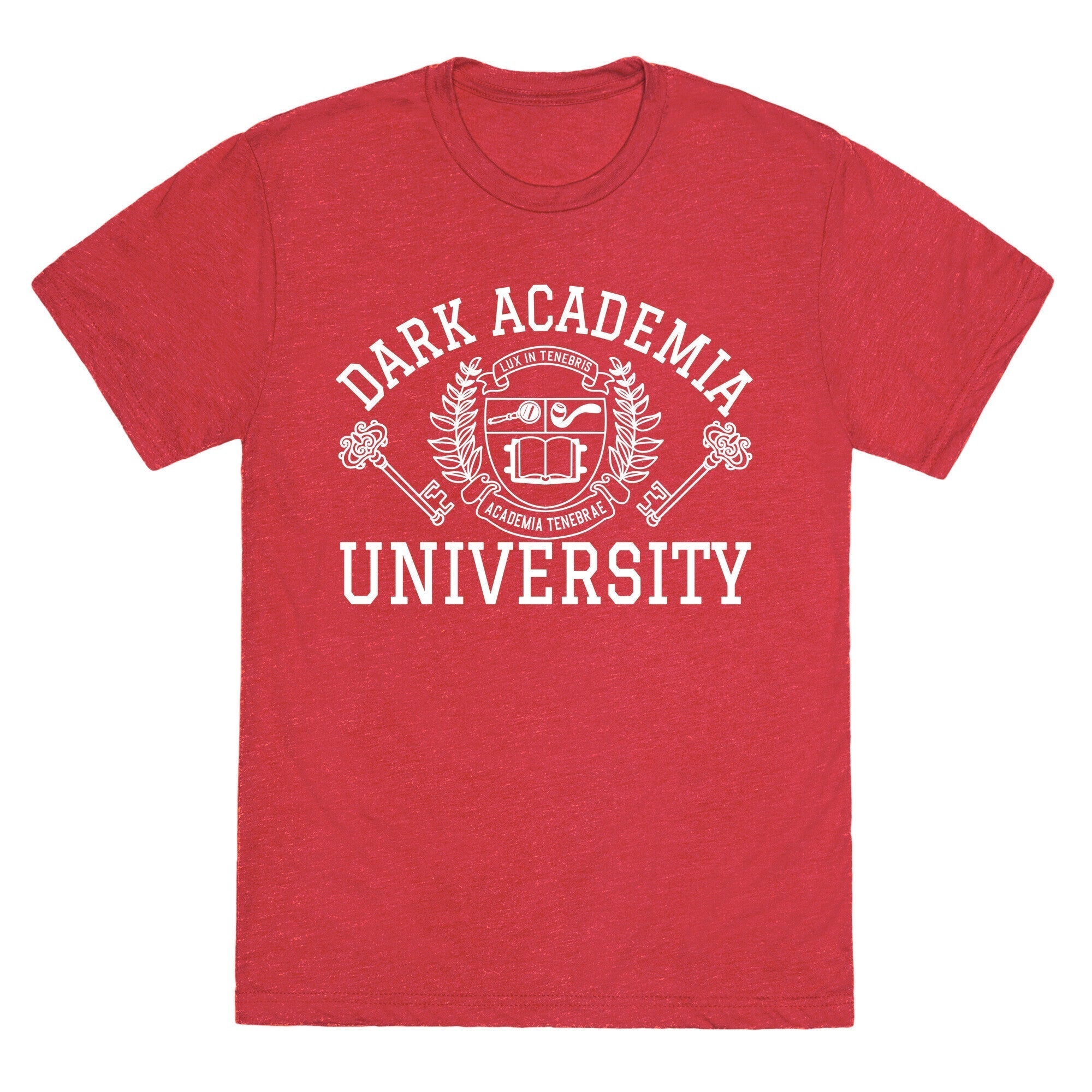 Dark Academia University Unisex Triblend Tee Hoodie, Sweatshirt | CoreVibeTees.com (Image 4)