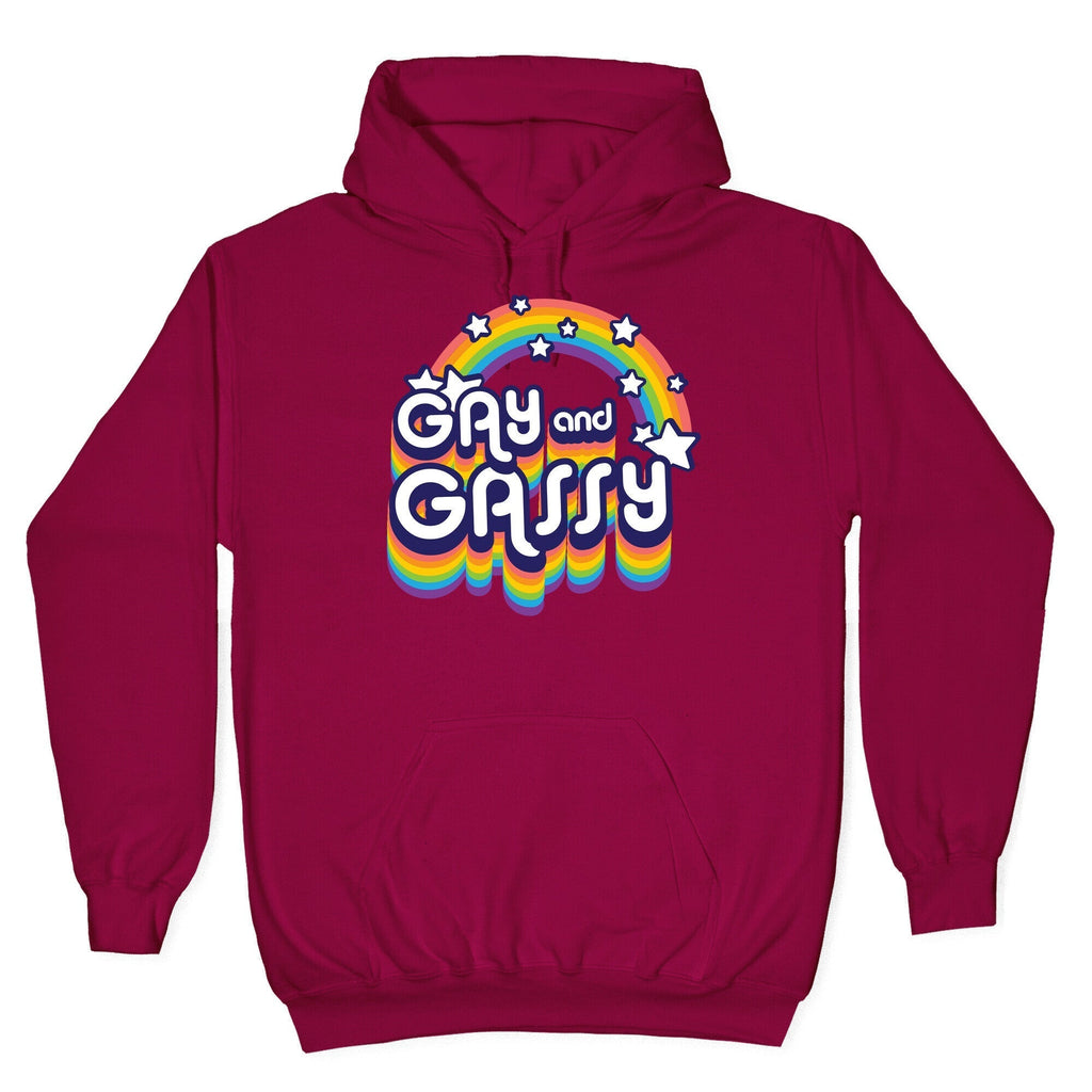 Gay and Gassy Rainbow Hoodie T-Shirts, Sweatshirt | CoreVibeTees.com (Image 5)