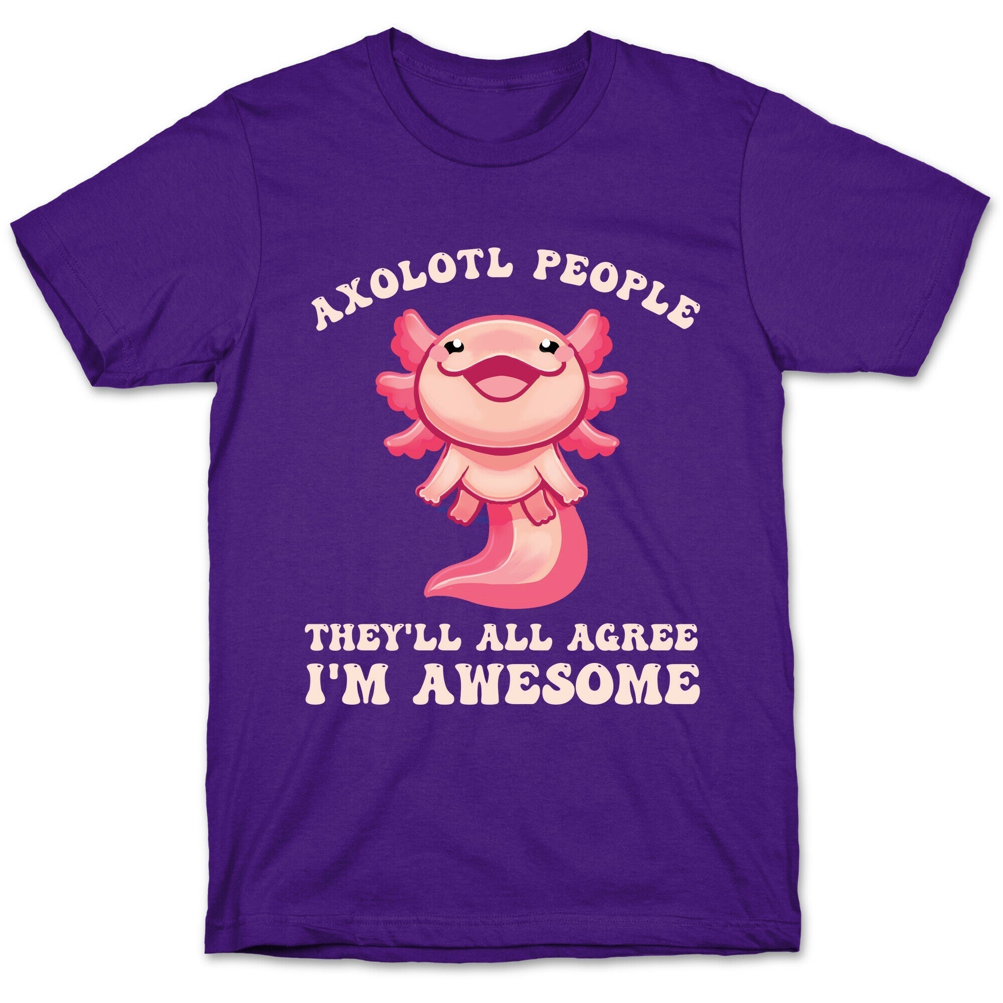 Axolotl People, They'll All Agree I'm Awesome T-Shirt Hoodie, Sweatshirt | CoreVibeTees.com (Image 5)