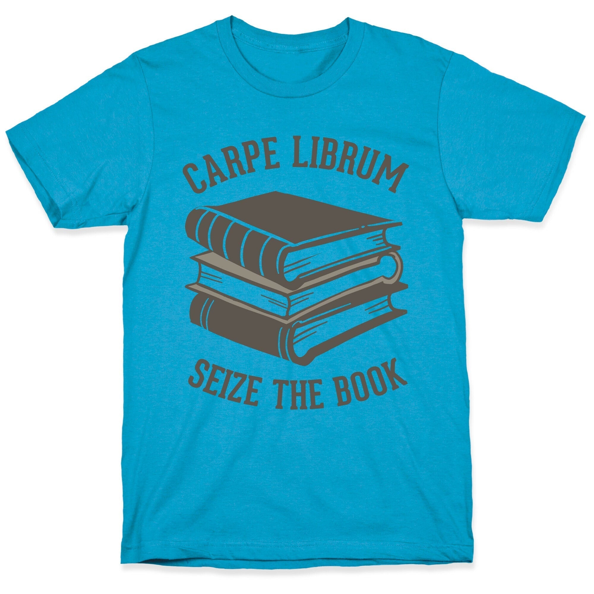 Carpe Librum (Seize The Book) Unisex Triblend Tee Hoodie, Sweatshirt | CoreVibeTees.com (Image 5)
