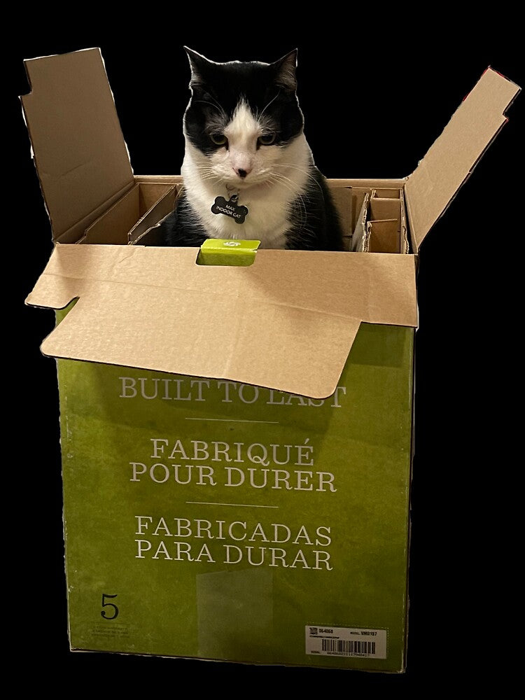 Max-In-The-Box by TCF-and-friends
