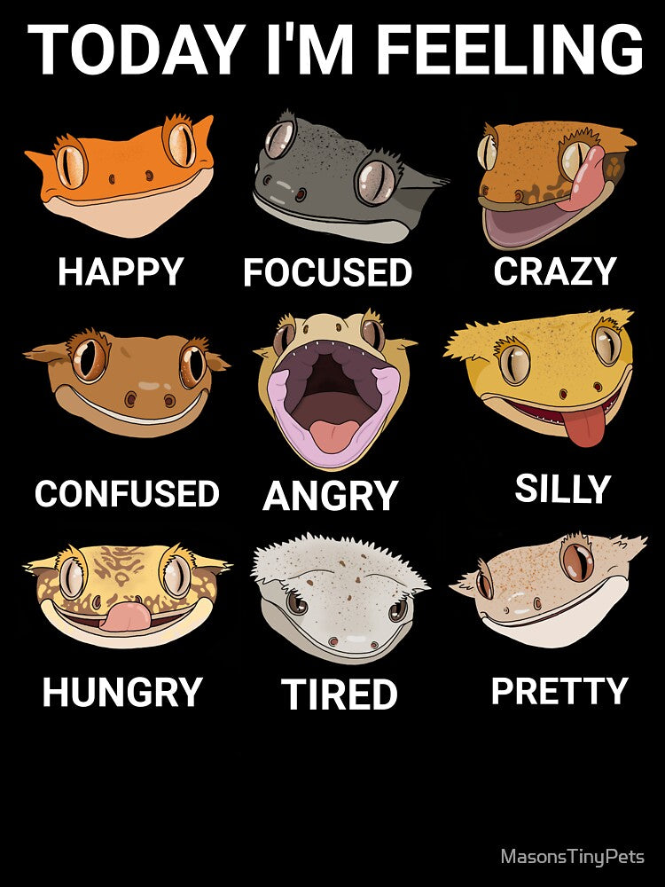 Today I'm Feeling... Crested Gecko by MasonsTinyPets