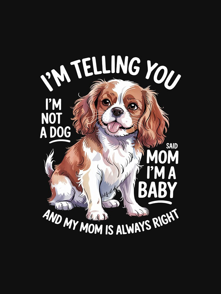 Cavalier King Charles Spaniel3 by MicanCuteStore