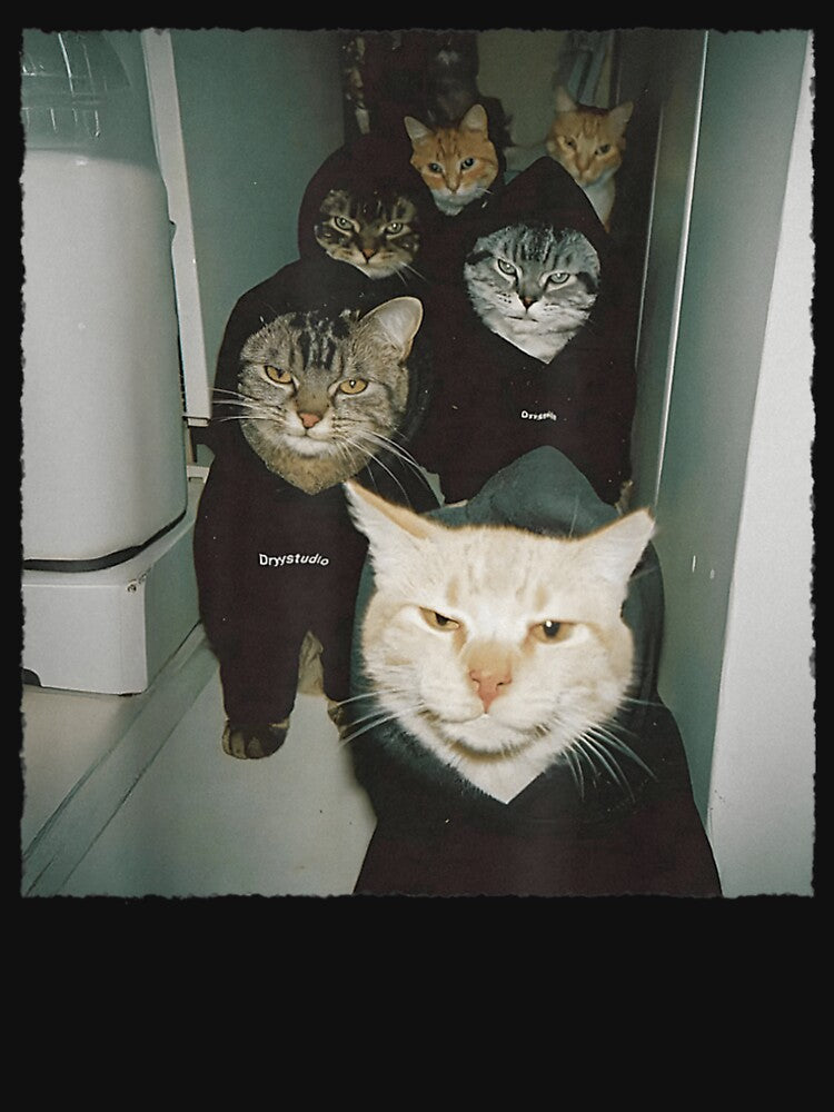 Funny Gangster Cats Street by BASKF