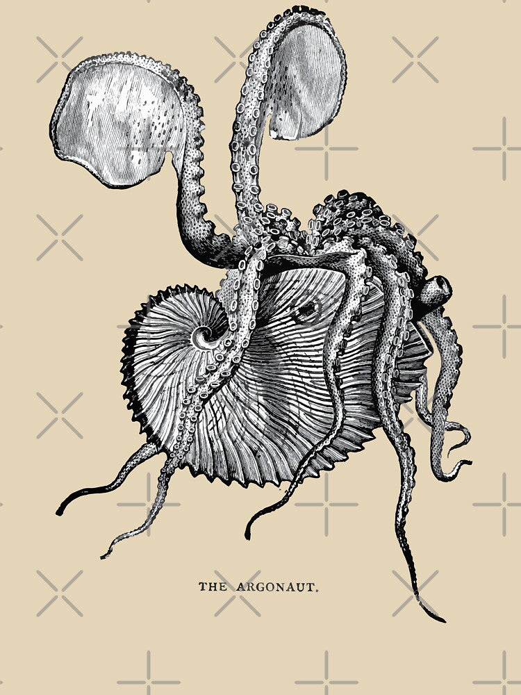The Argonaut by GatorDesign