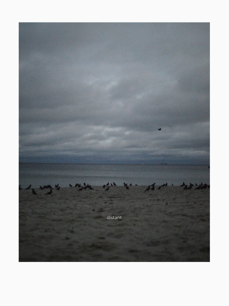 Moody Ocean Aesthetic “Distant” by annytsuj