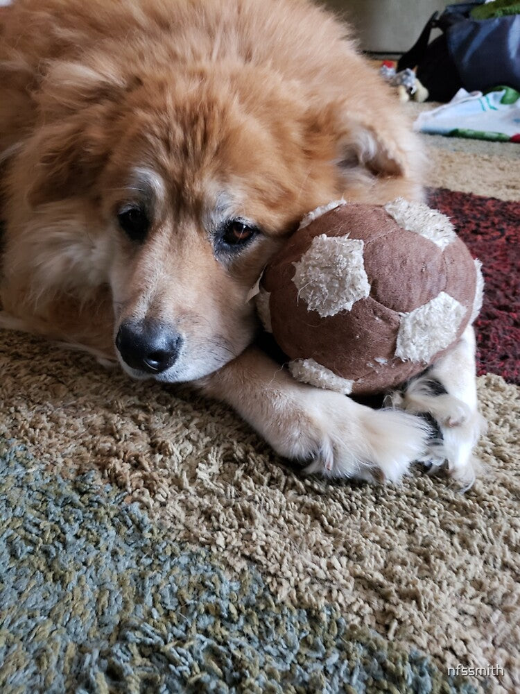 Marley with her squishy soccer ball by nfssmith