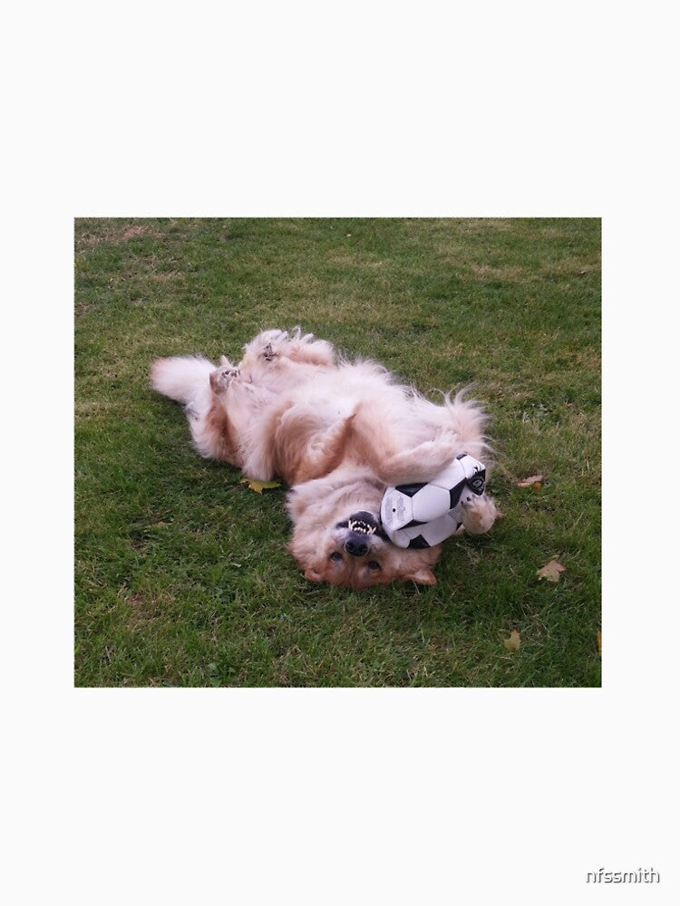 Marley playing upside down dog soccer by nfssmith