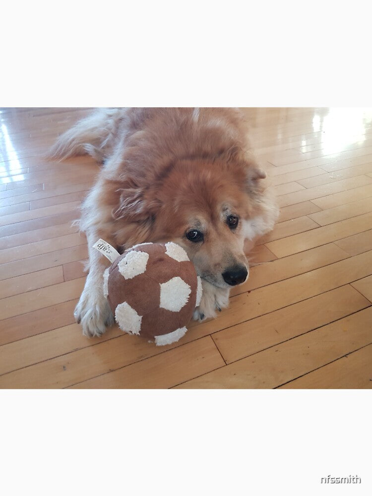Marley the lazy soccer dog by nfssmith