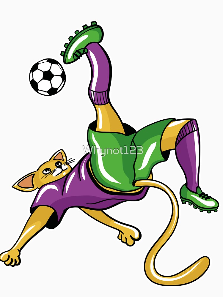 Soccer Cat by Whynot123