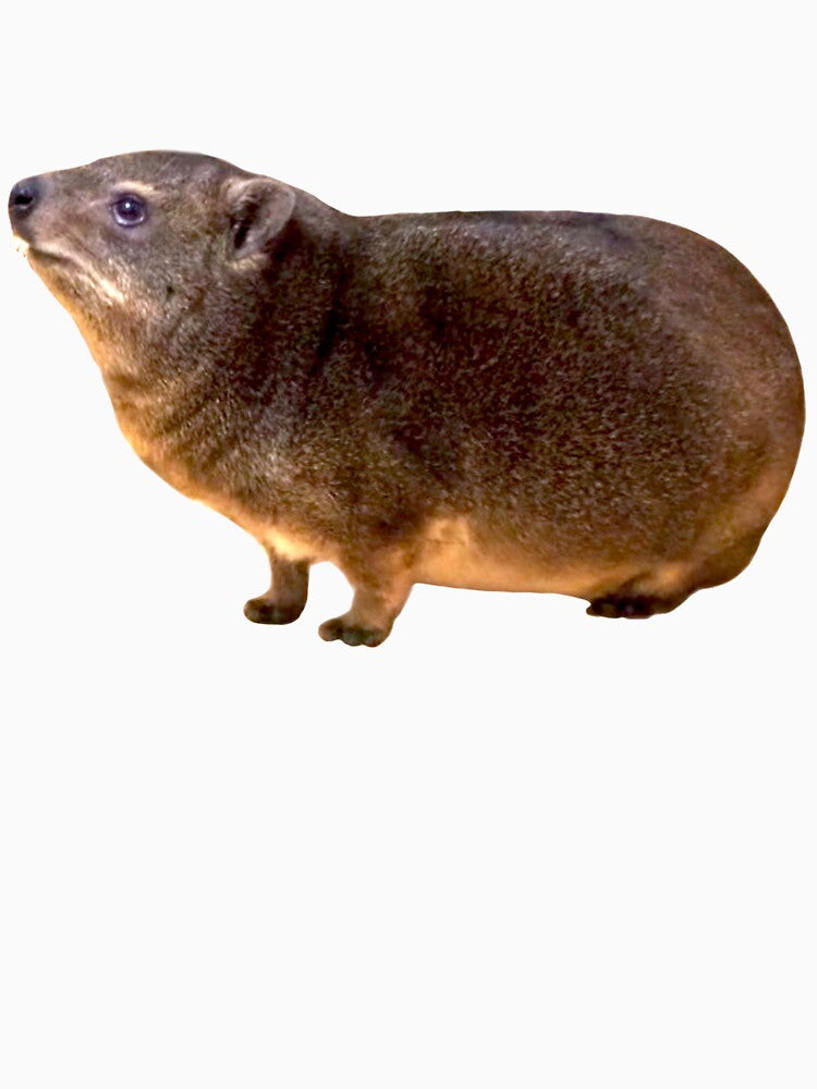 Kobiki 1st by Kobiki-hyrax
