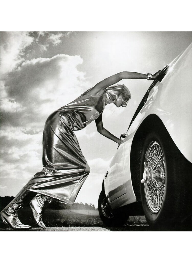 THe Best Of Helmut Newton Poster by joesbokey