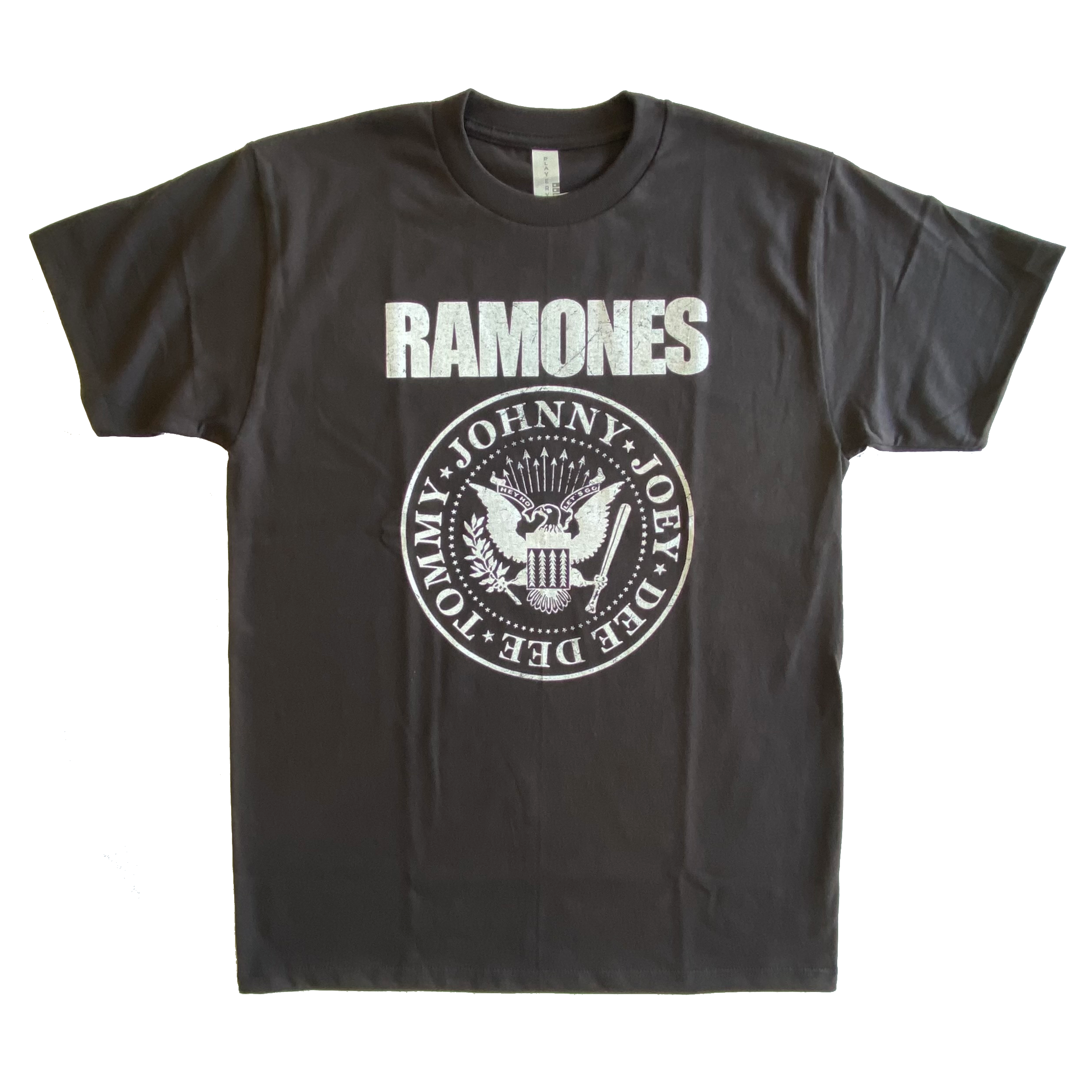 Ramones Circle Logo T-Shirt Hoodie, Sweatshirt | CoreVibeTees.com (Image 1)