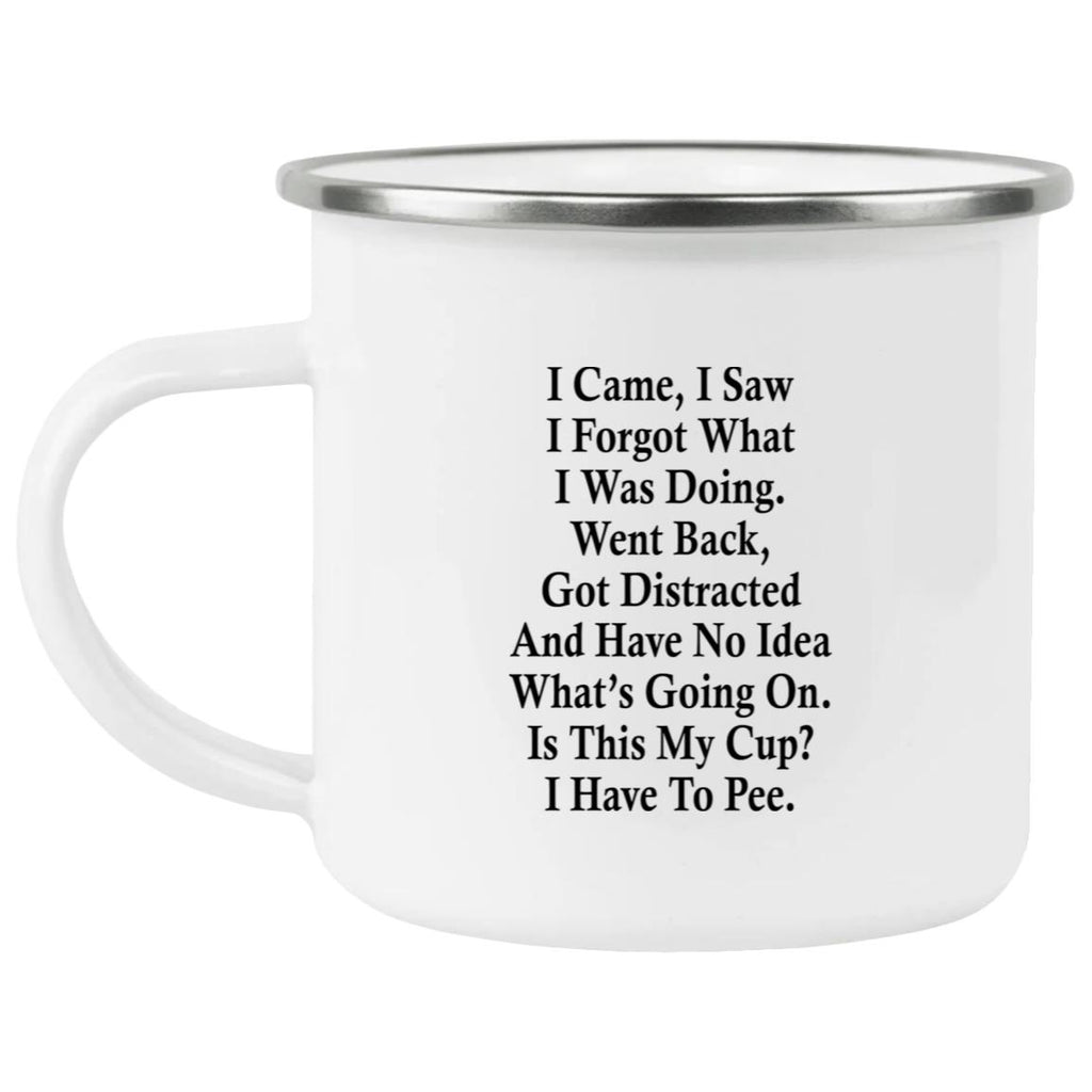 I Came I Saw I Forgot What I Was Doing Went Back Mug