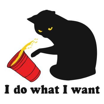 Do What I Want T-Shirt Hoodie, Sweatshirt | CoreVibeTees.com (Image 1)