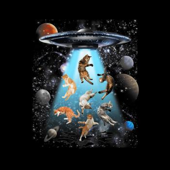 Galaxy Cat Shirt Hoodie, Sweatshirt | CoreVibeTees.com (Image 1)