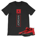 New Custom Tee T-Shirt to Match JD Retro 12 Reverse Flu Game