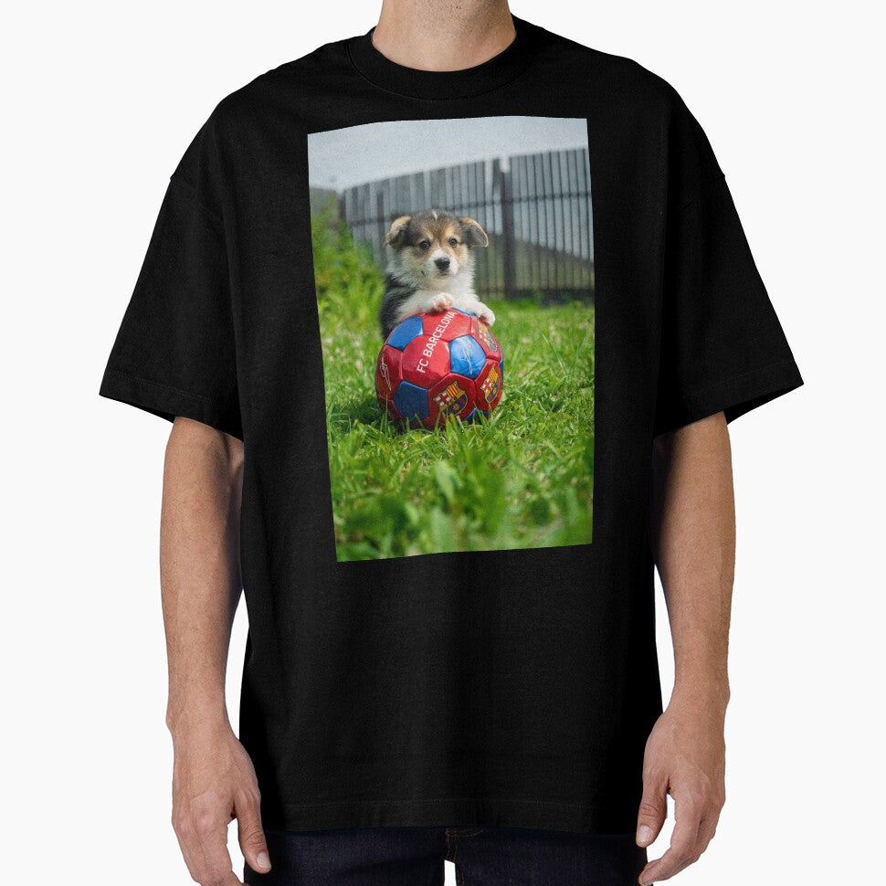 Dog on soccer ball by vexifyon1