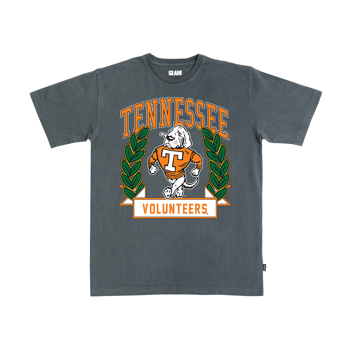 Tennessee Collegiate Heavy Tee Hoodie, Sweatshirt | CoreVibeTees.com