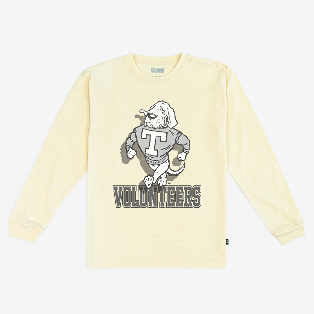 Tennessee Monochromatic L/S Tee Hoodie, Sweatshirt | CoreVibeTees.com