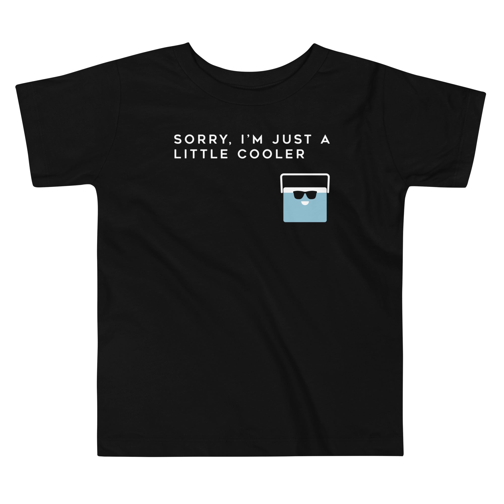 Sorry, I'm Just A Little Cooler Kid's Toddler Tee Hoodie, Sweatshirt | CoreVibeTees.com