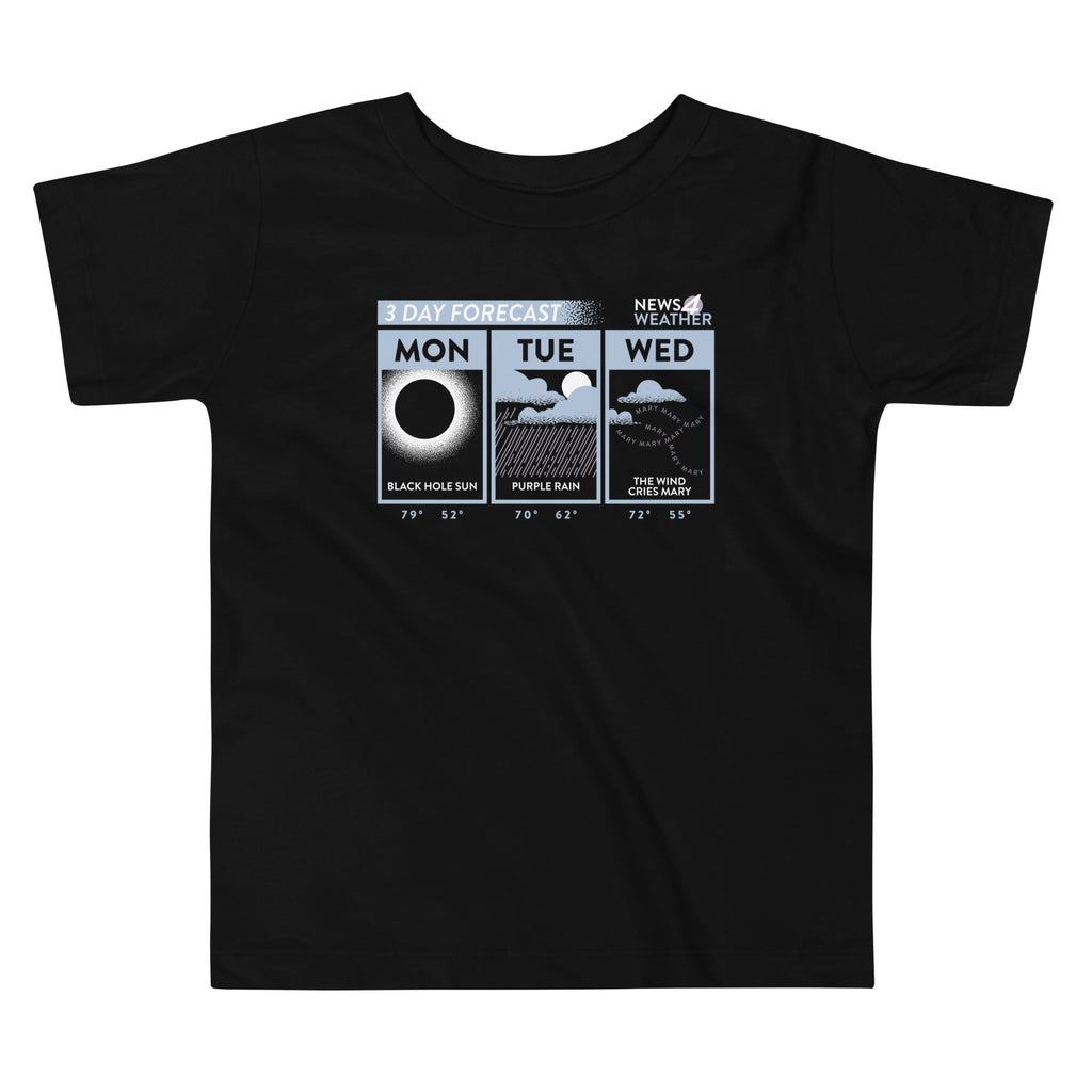 3 Day Forecast Kid's Toddler Tee Hoodie, Sweatshirt | CoreVibeTees.com