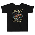 Sorry! I'm Using This Right Meow Kid's Toddler Tee Hoodie, Sweatshirt | CoreVibeTees.com
