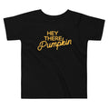 Hey There Pumpkin Kid's Toddler Tee Hoodie, Sweatshirt | CoreVibeTees.com