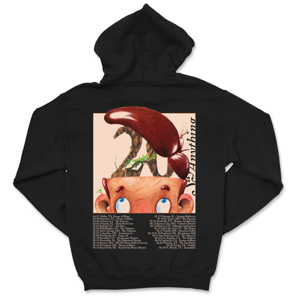 Say Anything - 2024 Tour Hoodie T-Shirts, Sweatshirt | CoreVibeTees.com (Image 3)