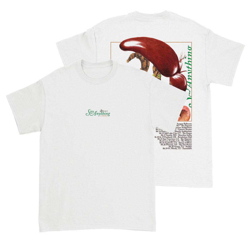 Say Anything - 2024 Tour Tee Hoodie, Sweatshirt | CoreVibeTees.com (Image 1)