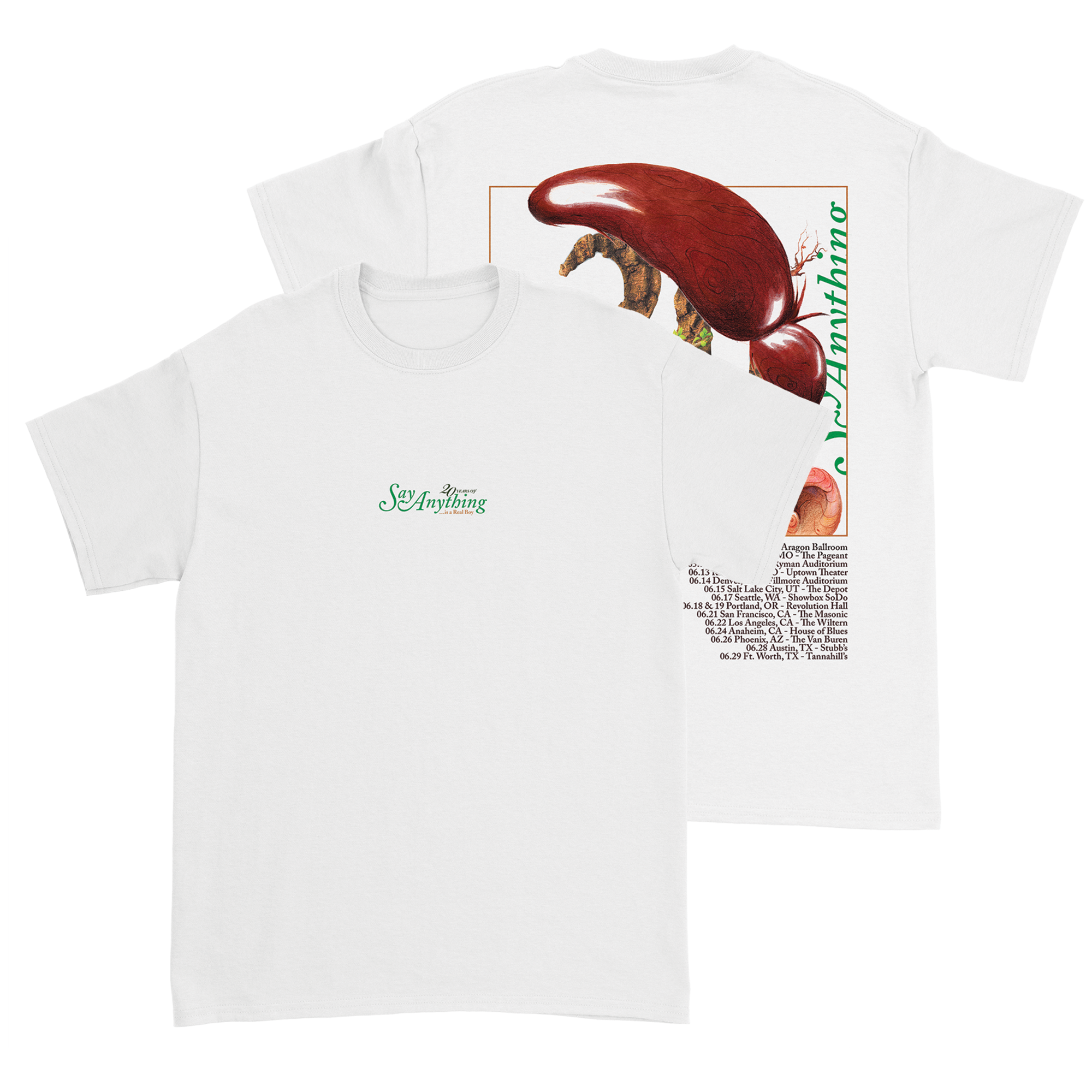 Say Anything - 2024 Tour Tee Hoodie, Sweatshirt | CoreVibeTees.com (Image 1)