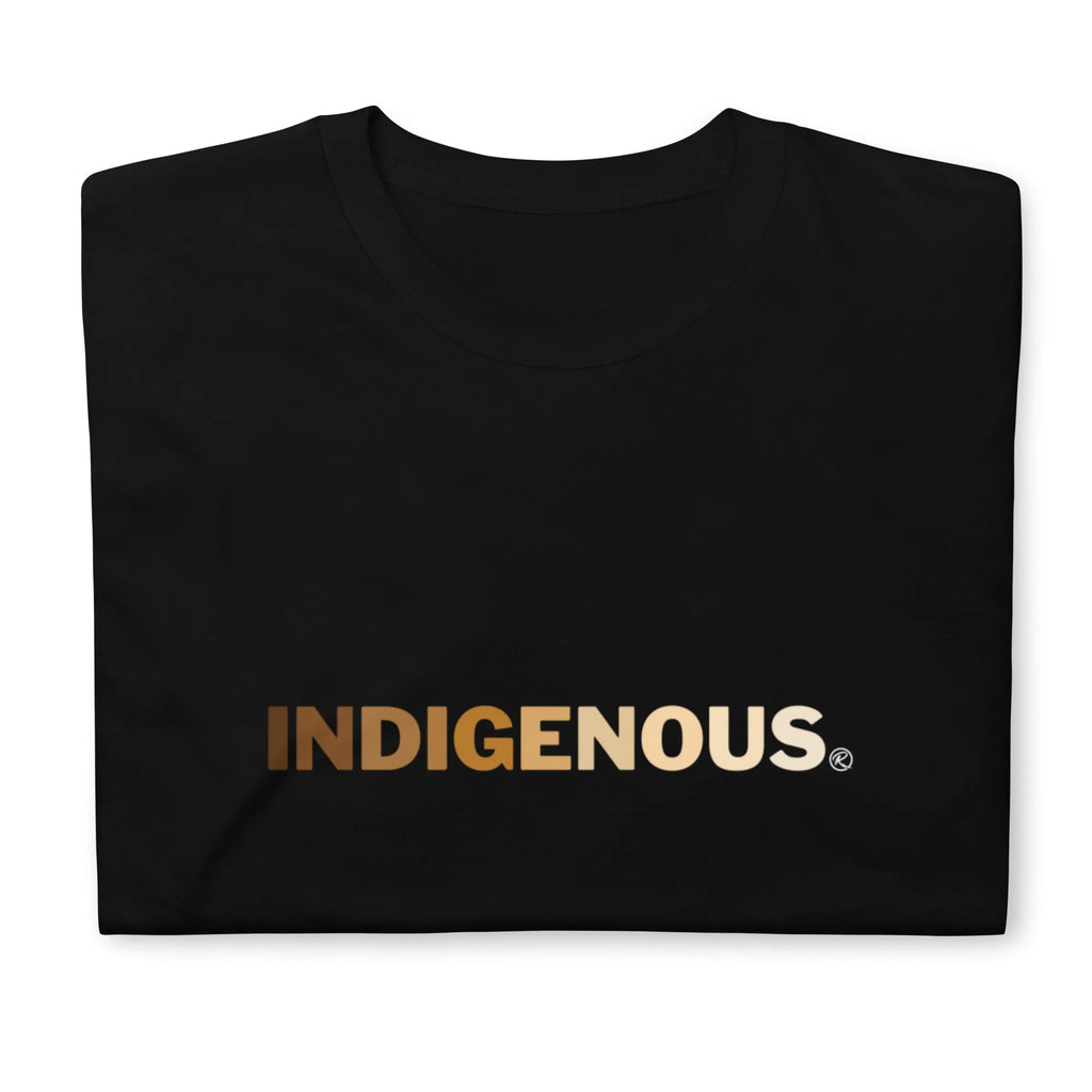 Melanin Indigenous T-shirt Hoodie, Sweatshirt | CoreVibeTees.com (Image 3)