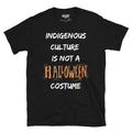 Indigenous Culture Is Not A Costume T-Shirt (unisex) Hoodie, Sweatshirt | CoreVibeTees.com