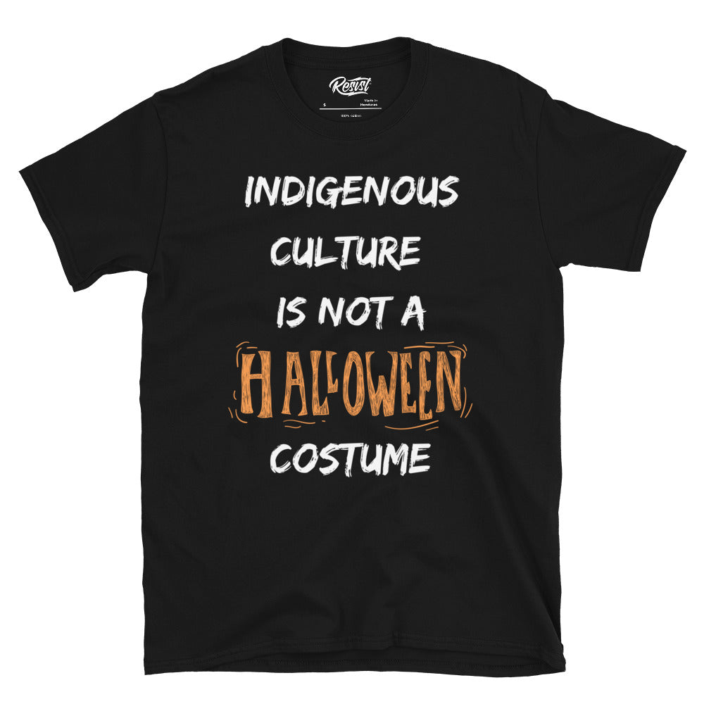 Indigenous Culture Is Not A Costume T-Shirt (unisex) Hoodie, Sweatshirt | CoreVibeTees.com